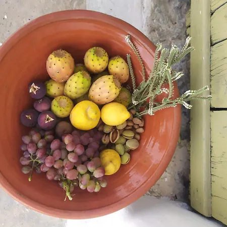 Almond Trees House Holiday home