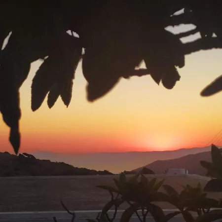 Almond Trees House Holiday home *